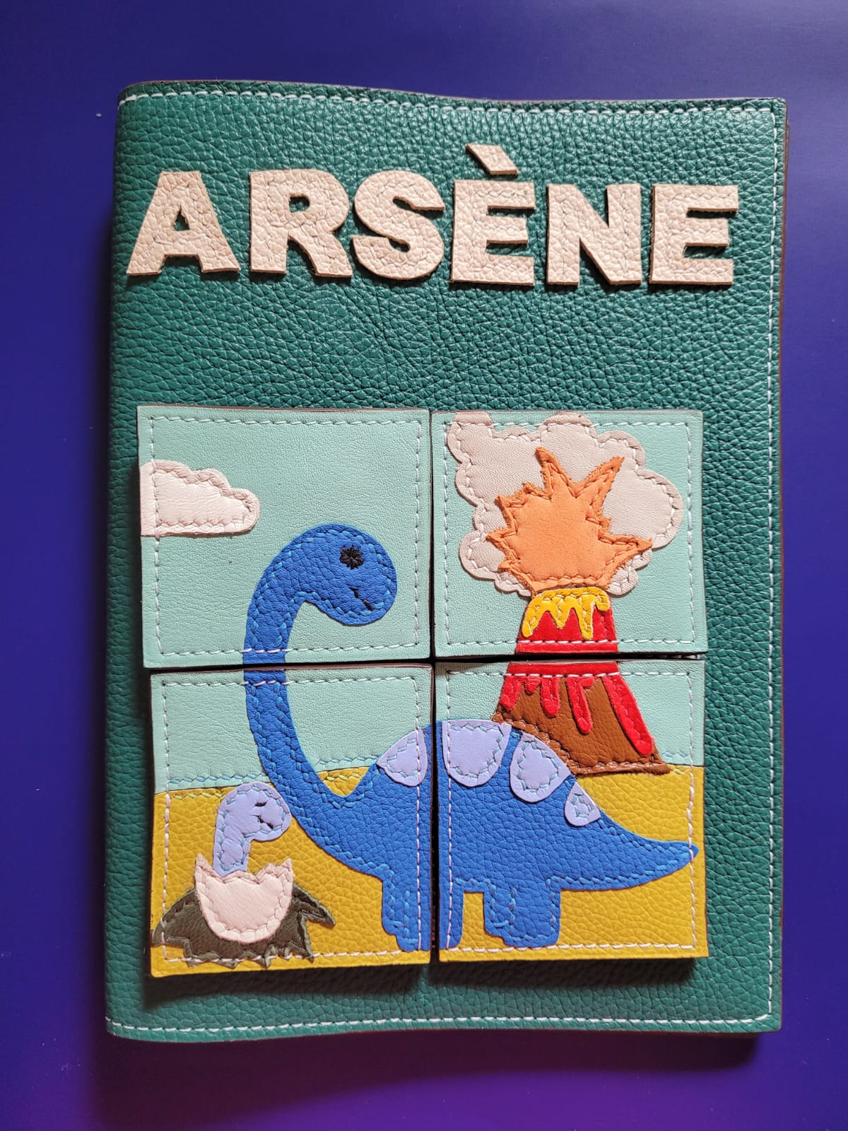 Protège carnet de santé